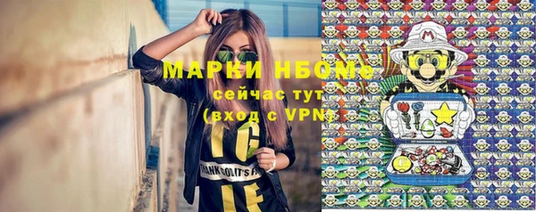 дживик Новозыбков