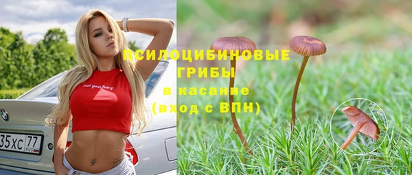 МДМА Новодвинск