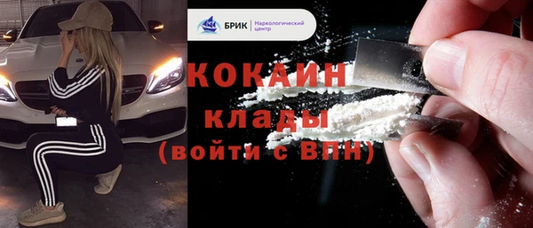 дживик Новозыбков