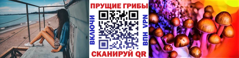 мориарти официальный сайт  Красавино  Галлюциногенные грибы Magic Shrooms 