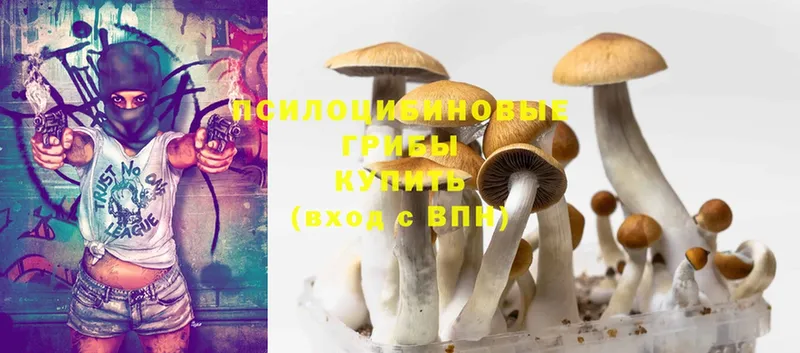 Псилоцибиновые грибы MAGIC MUSHROOMS  Красавино 